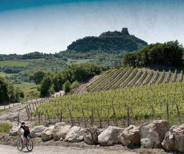 Camping Chianti Glamping Village Toscane natuur