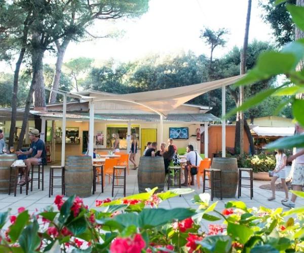Camping Etruria toscane italie terras